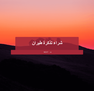نموذج تذكرة طيران