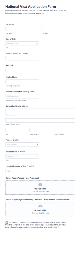 National Visa Application Form Template