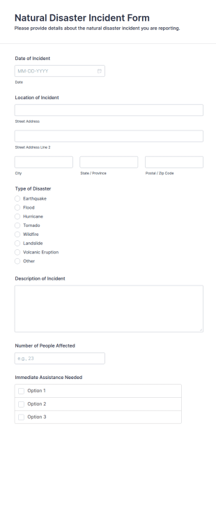 Natural Disaster Incident Form Template
