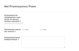 Net Promosyoncu Puanı Form Şablonu