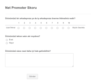 Net Promoter Skoru Form Template