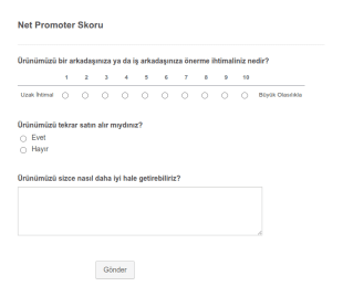 Net Promoter Skoru Form Şablonu