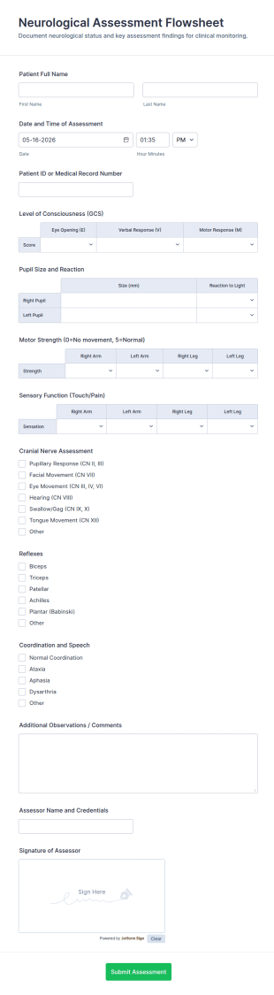 Neurological Assessment Flowsheet Form Template