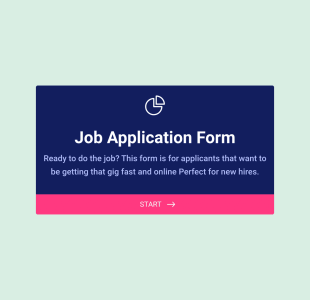 New Job Application Form Template