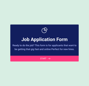 New Job Application Form Template