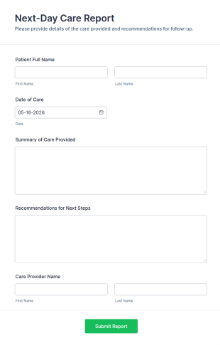 Next Day Care Report Form Template