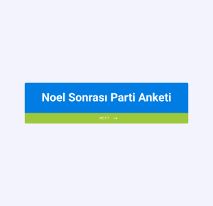 Noel Sonrası Parti Anketi Form Template