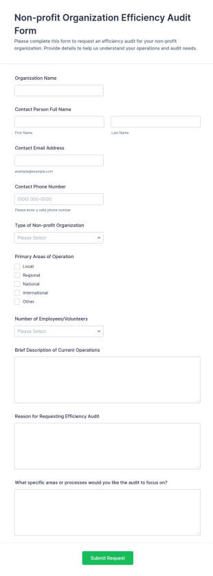 Non Profit Organization Efficiency Audit Application Form Template