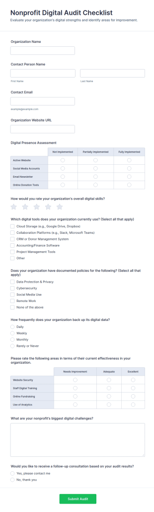 Nonprofit Digital Audit Checklist Form Template