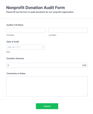 Nonprofit Donation Audit Form Template