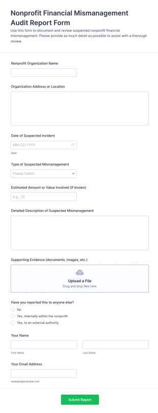 Nonprofit Financial Mismanagement Audit Report Form Template