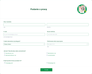 Nowe Podanie O Pracę Form Template