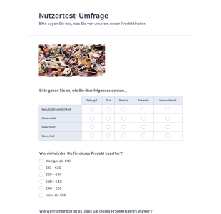 Nutzertest Umfrage