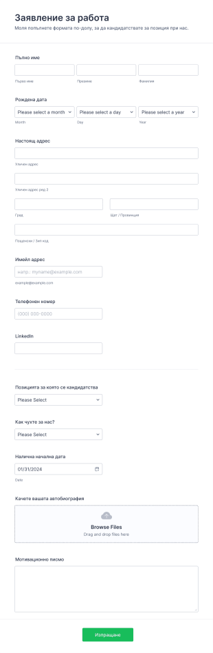 Обикновена форма за кандидатстване за работа Form Template