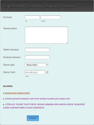 Ödeme Bilgileri Form Template