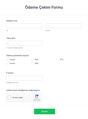 Ödeme Çekim Form Template
