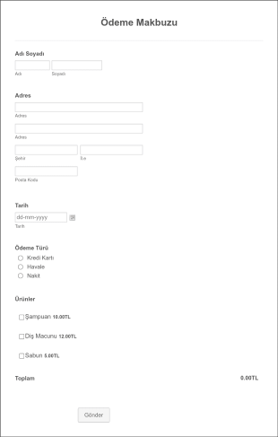 Ödeme Makbuzu Form Template