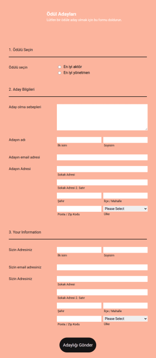 Ödül Adaylık Form Şablonu