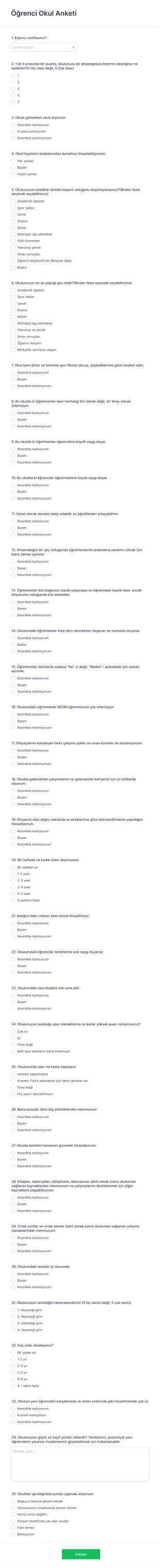 Öğrenci Okul Anketi Form Template