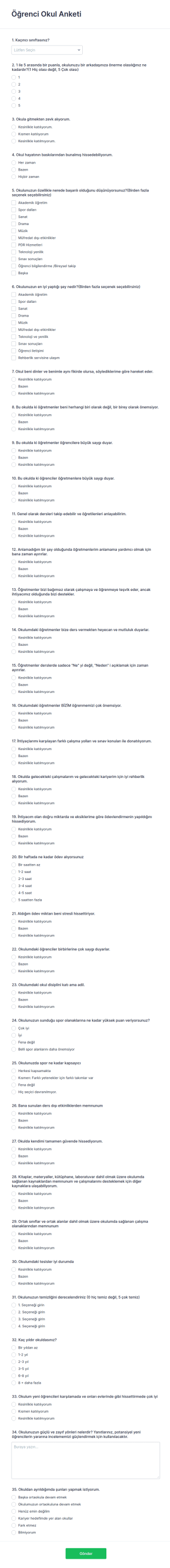 Öğrenci Okul Anketi Form Şablonu