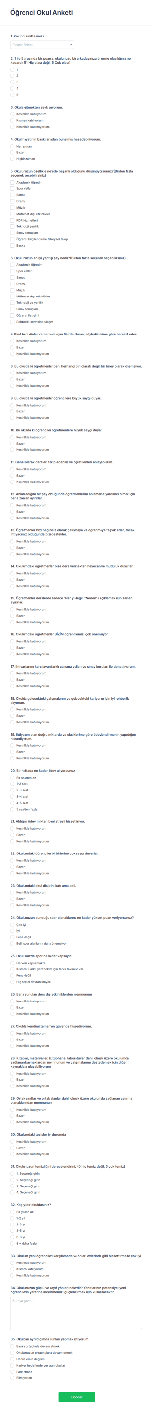 Öğrenci Okul Anketi Form Şablonu