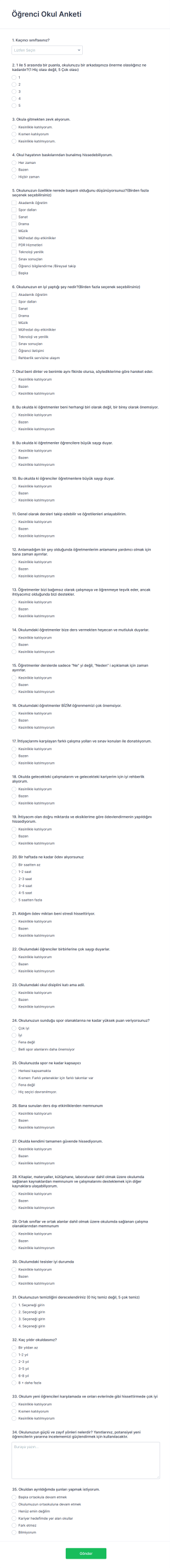 Öğrenci Okul Anketi Form Template