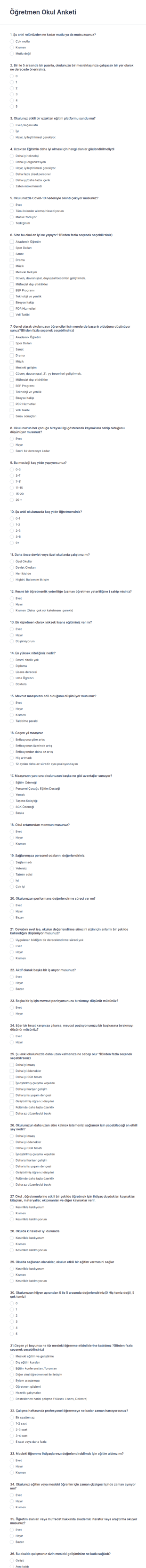 Öğretmen Okul Anketi Form Şablonu