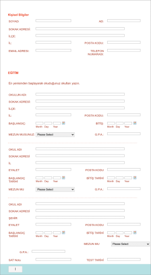Okul Başvuru Form Template