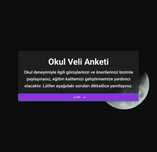 Okul Veli Anketi Form Şablonu