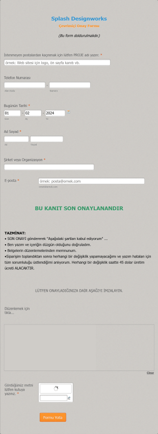 Onay Talep Form Template