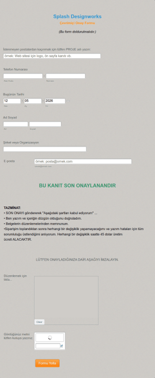 Onay Talep Form Şablonu
