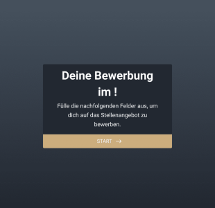 Online Bewerbung VA Form Template