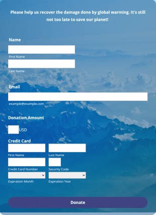 Braintree Online Donation Form Template