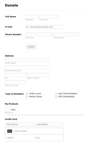 Online Donation Form YWAM Form Template