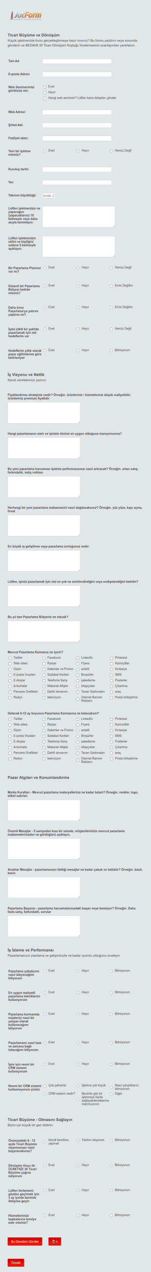 Online İş Anketi Form Şablonu