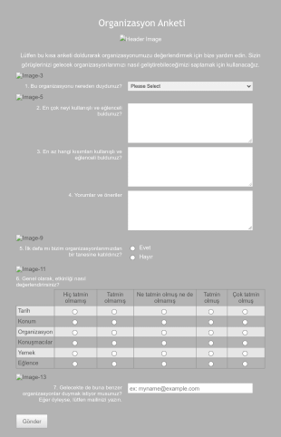 Organizasyon Anketi Form Template