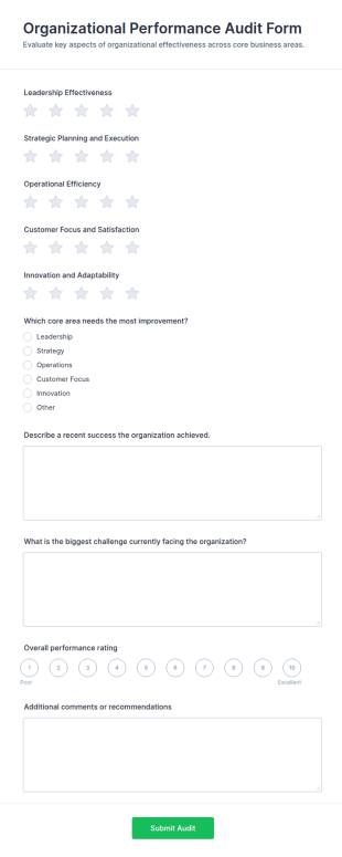 Organizational Performance Audit Form Template