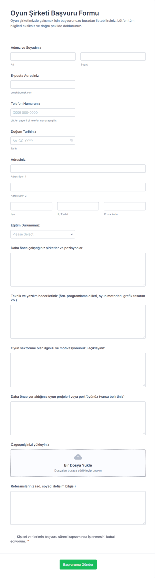 Oyun Şirketi Başvuru Form Şablonu