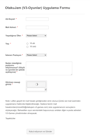 Oyun Uygulama Form Template