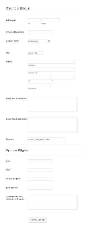 Oyuncu Profili Form Şablonu