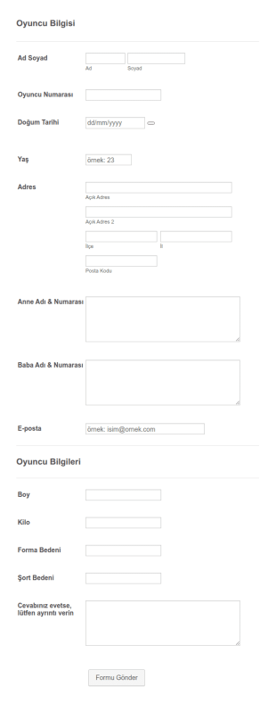 Oyuncu Profili Form Şablonu