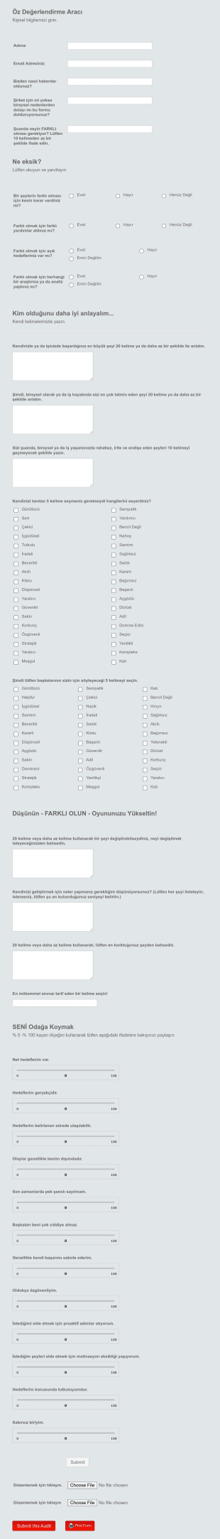 Öz Değerlendirme Aracı Form Template