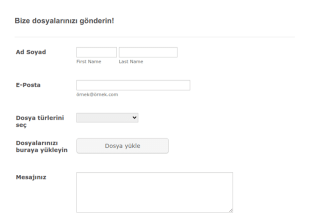 Ozellestirilmis Ve Duyarli Dosya Yukleme Form Şablonu