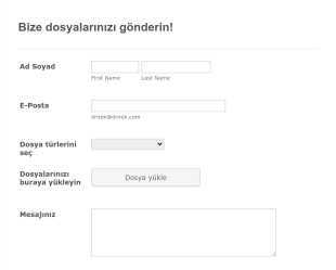Ozellestirilmis Ve Duyarli Dosya Yukleme Form Template