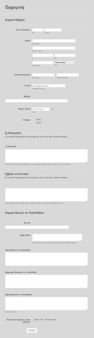 Özgeçmiş Şablon Form Template