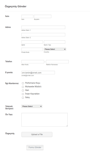 Özgeçmiş Toplama Form Şablonu