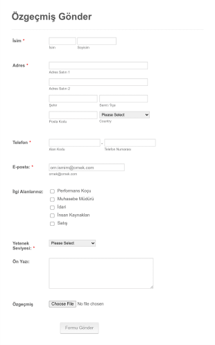 Özgeçmiş Toplama Form Template