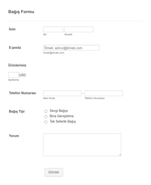 Paymentwall Online Bağış Form Şablonu