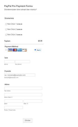 PayPal Pro Ödeme Form Şablonu