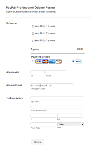 PayPal Profesyonel Ödeme Form Şablonu